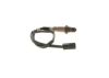 Oxygen Sensor -