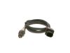 Oxygen Sensor -