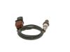Oxygen Sensor -