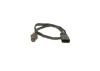 Oxygen Sensor -