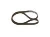 Timing Belt -