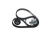 Timing Belt Kit -