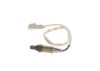 Oxygen Sensor -
