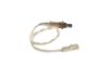 Oxygen Sensor -