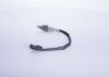 Oxygen Sensor -