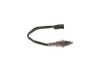 Oxygen Sensor -