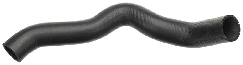 Radiator Hose -