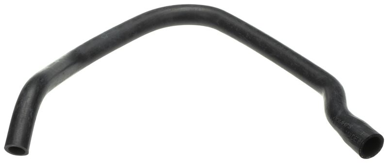 Radiator Hose -