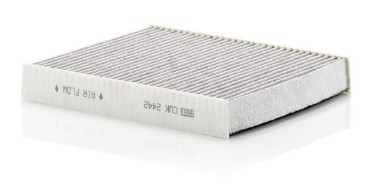 Filter, cabin air GM Insignia 08-