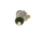 Wheel Brake Cylinder -
