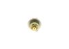 Fuel Pressure Regulator -