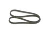 V-Ribbed Belt -