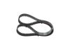 Timing Belt -