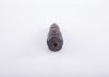 Nozzle and Holder Assembly -