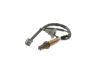 Oxygen Sensor -