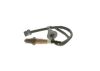 Oxygen Sensor -