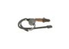 Oxygen Sensor -