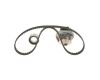 Water Pump & Timing Belt Kit -