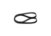 V-Ribbed Belt 5PK920