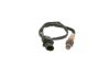 Oxygen Sensor -
