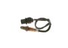 Oxygen Sensor -