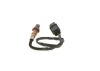Oxygen Sensor -