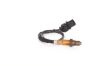 Oxygen Sensor -