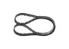 Timing Belt -