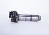 Unit Injector (UI) -