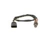 Oxygen Sensor -