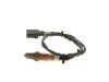 Oxygen Sensor -