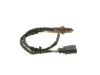 Oxygen Sensor -