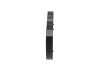 Timing Belt -