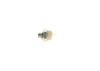 Oil Pressure Switch -