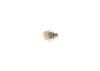 Oil Pressure Switch -