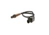 Oxygen Sensor -