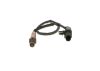 Oxygen Sensor -