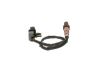 Oxygen Sensor -
