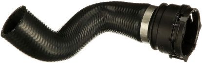 Radiator Hose -