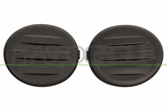 Eyelid, front fog light -