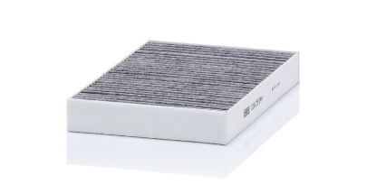 Filter, cabin air TESLA - 1035125-00-A