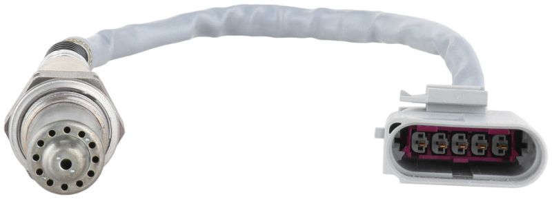 Oxygen Sensor -