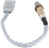 Oxygen Sensor -