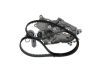Water Pump & Timing Belt Kit -