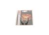 Glow Plug -