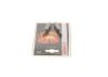 Glow Plug -