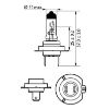 Bulb, spotlight H7 X-tremeVision Pro150 2tk +150% valgus