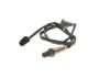 Oxygen Sensor Oxygen Sensor