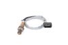 Oxygen Sensor -