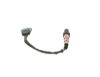 Oxygen Sensor -
